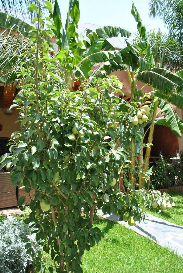 Auberge Kasbah Darla Tahanaout Exteriör bild
